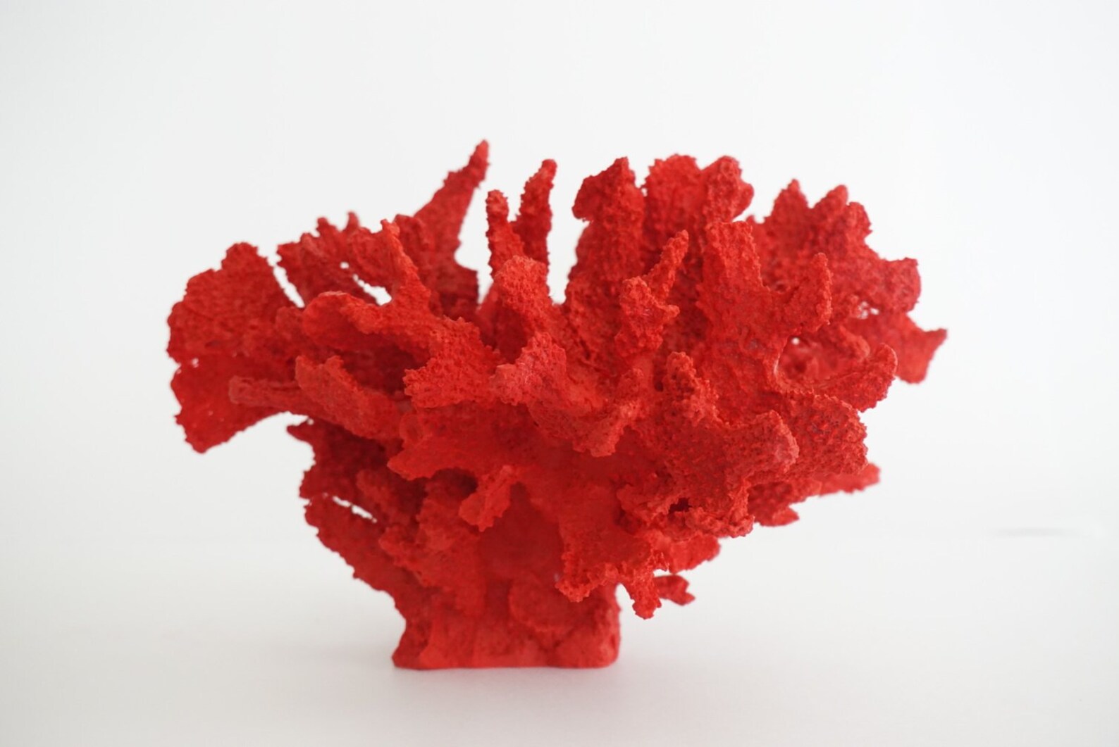 Coral Sculpture Coral Reef Decor Coral Decor Resin | Etsy