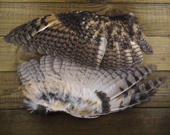 Owl Feathers Etsy