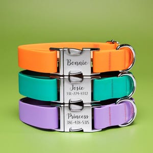Può includere: Tre collari per cani impilati, arancione, verde acqua e viola. Ogni collare ha una fibbia argentata con un nome e un numero di telefono incisi. Il collare superiore dice "Bonnie", quello centrale "Josie" e quello inferiore "Princess".