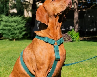 Pettorina per cani in pelle, pettorina personalizzata per cani, pettorina in pelle per il petto, regali per animali domestici, pettorina regolabile per cani, accessori personalizzati per cani