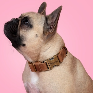 Rustic dog collar, Leather dog collar, Luxury Dog Collar, Pet collar, Personalise dog collar, Dog collar, Custom dog collar, Rustic buckle Whiskey