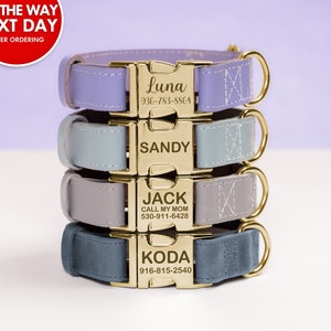 Leather Dog Collar, Custom dog collar, Personalized Dog Collar, Gold Buckle Dog Collar, Leather Leash, Pet collar, Gifts for pets