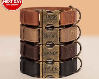 Boy dog collars etsy sale