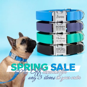 Waterproof Dog Collar, dog collar, Pet collar, Personalise dog collar, Custom dog collar, dog collar girl, Dog leash image 3