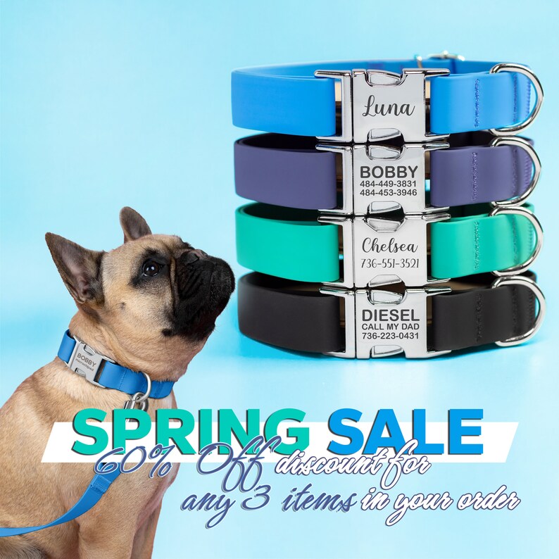 Waterproof Dog Collar, dog collar, Pet collar, Personalise dog collar, Custom dog collar, dog collar girl, Dog leash image 3