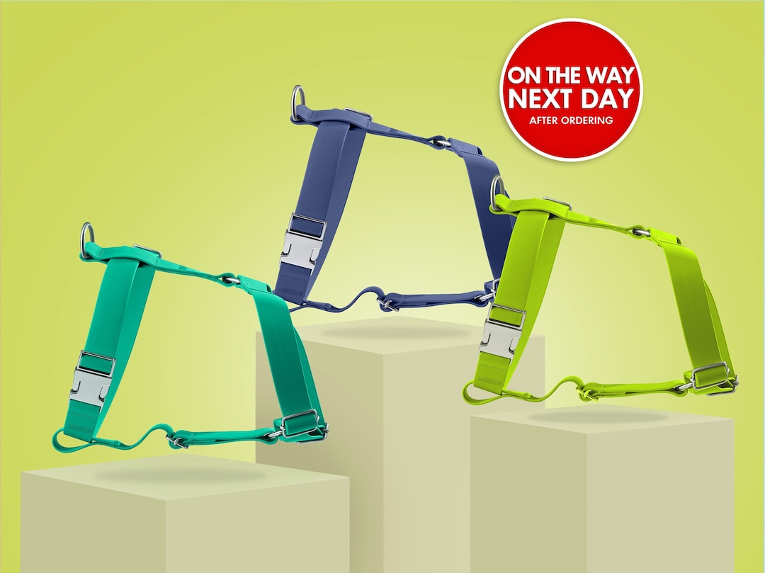 Waterproof Dog Harness, Front and Back Clip, Chest Harness, Puppy