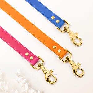 Könnte beinhalten: Drei farbige Hundeleinen in Pink, Orange und Blau. Jede Leine ist aus Leder gefertigt und verfügt über goldfarbene Beschläge, darunter ein Karabiner und Nieten. Die Leinen sind diagonal vor einem weißen Hintergrund angeordnet.