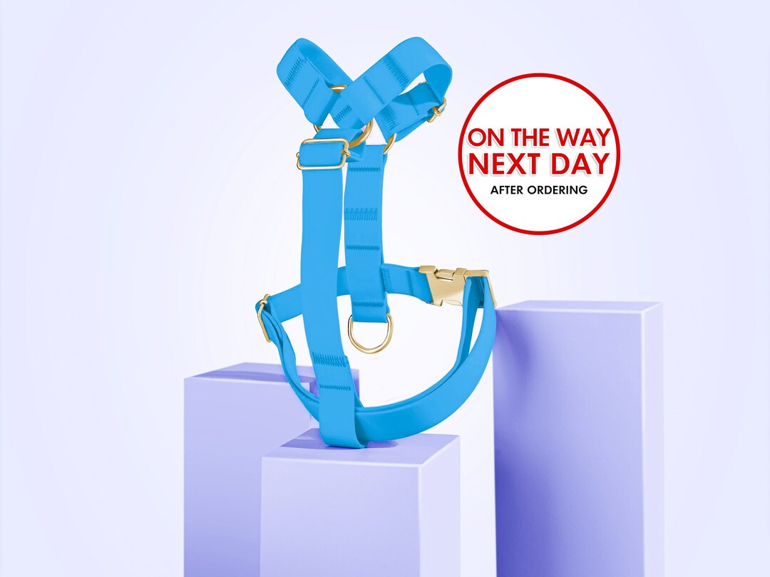 Waterproof Dog Harness, Front and Back Clip, Water Resistant, Dog