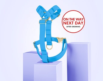 May include: A bright blue dog harness with gold-colored metal hardware, including a buckle and rings. The harness is displayed on a light purple pedestal. Text in a red circle reads "ON THE WAY NEXT DAY AFTER ORDERING."