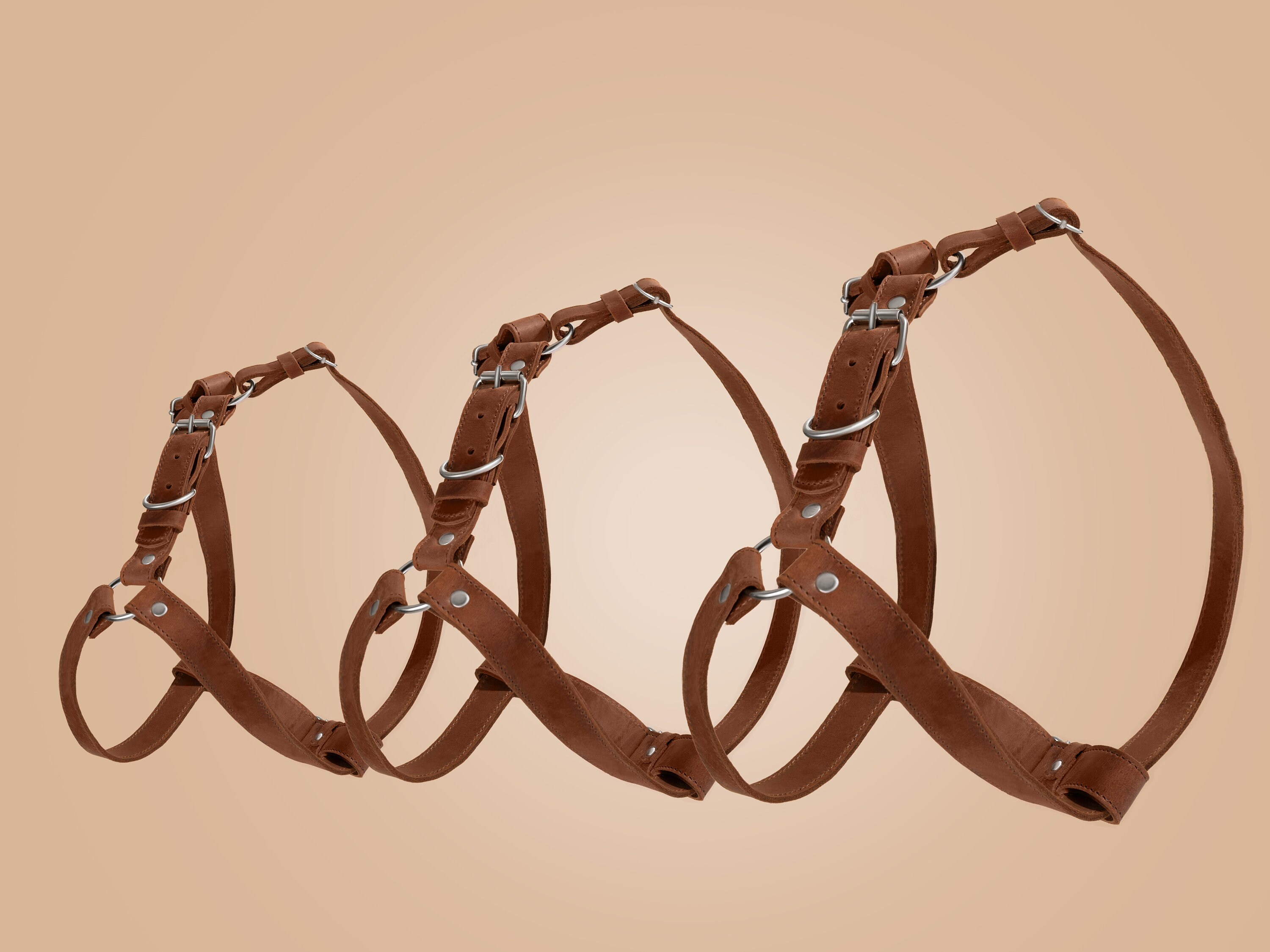 Leather Dog Harness Dog Accessory Dog Chest Harness Puppy Etsy