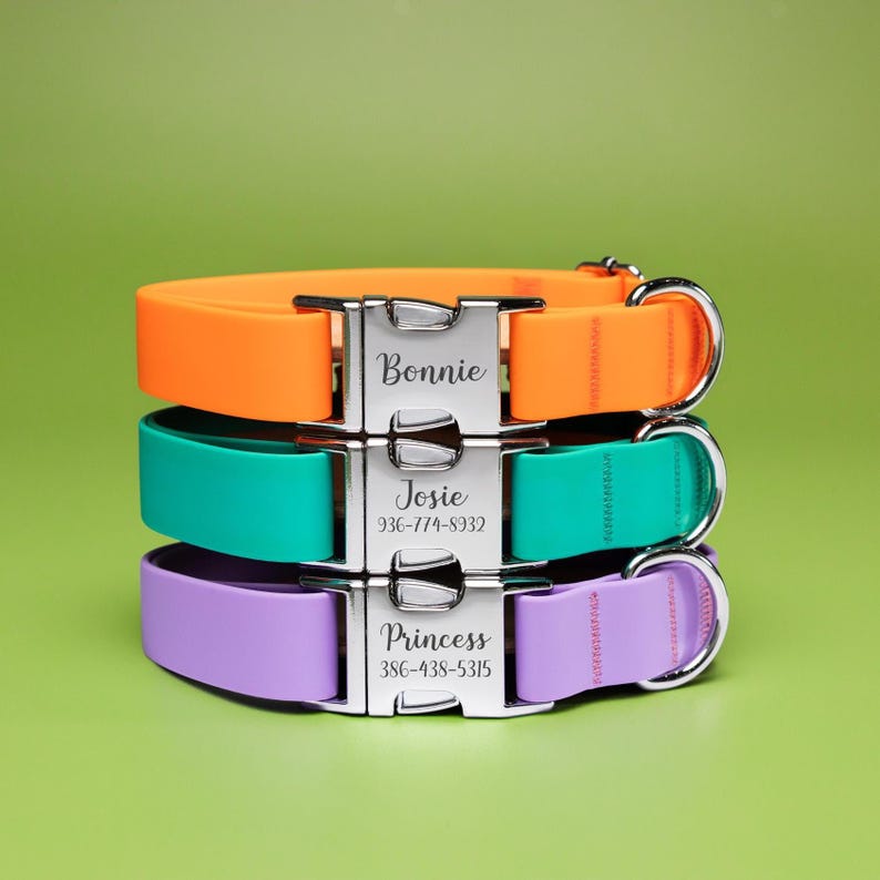 May include: Three stacked dog collars in orange, teal, and purple. Each collar has a silver buckle with a name and phone number engraved. The top collar says "Bonnie", the middle says "Josie", and the bottom says "Princess".