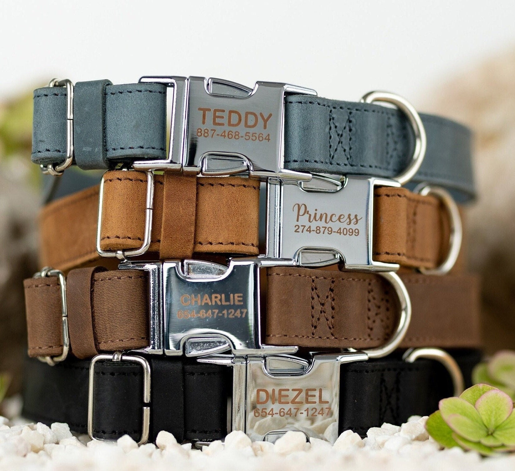 pro plan puppy chicken and rice