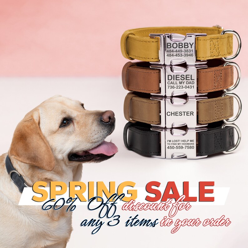 Hundehalsband, Leder Hundehalsband, Luxus Hundehalsband, Haustierhalsband, Gravur Hundehalsband, personalisierte Leder Hundehalsband, Bild 2