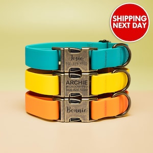 Waterproof dog collar, Dog collar, Pet collar, Luxury Dog Collar, Adjustable, Dog collar, Custom dog collar