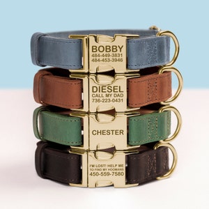 Leather Dog Collar, Gold Hardware Dog Collar, Custom dog collar, Personalized Dog Collar, Leather Leash, Pet collar, Gifts for pets