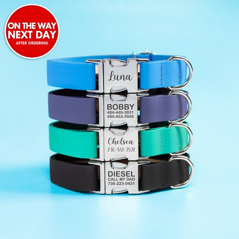 May include: Four personalized dog collars stacked on top of each other. The top collar is blue, the second is purple, the third is green, and the bottom is black. Each collar has a silver buckle with engraved text. The top collar reads 'Luna', the second reads 'Bobby 484-449-3831 484-453-3946', the third reads 'Chelsea 736-551-3521', and the bottom reads 'Diesel Call My Dad 736-223-0431'.