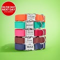 Waterproof Dog Collar, Adjustable, Dog collar, Pet collar, Personalise dog collar, Custom dog collar, dog collar girl, Dog leash product logo