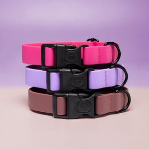 Waterproof Dog Collar, Lightweight Pet Collar, Adjustable dog collar, Dog Leash, Weather Resistant Dog collar with Plastic Buckle