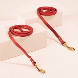 Puede incluir: Dos correas rojas de cuero para perros con herrajes dorados. Las correas est&aacute;n enrolladas y dispuestas, mostrando su longitud y dise&ntilde;o. El fondo es de un color suave y neutro.