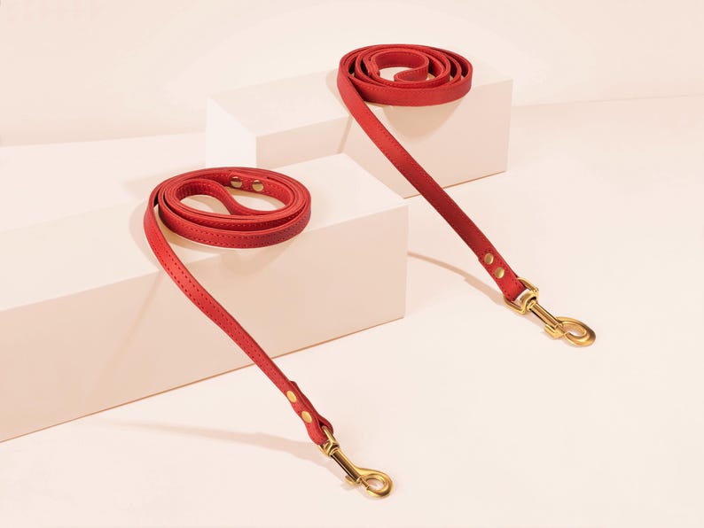 Puede incluir: Dos correas rojas de cuero para perros con herrajes dorados. Las correas est&aacute;n enrolladas y dispuestas, mostrando su longitud y dise&ntilde;o. El fondo es de un color suave y neutro.