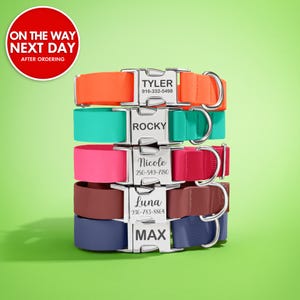 Puede incluir: Una pila de collares personalizados para perros en varios colores: naranja, turquesa, rosa, rojo, marr&oacute;n y azul marino. Cada collar tiene una hebilla plateada grabada con un nombre y n&uacute;mero de tel&eacute;fono. Sobre fondo verde.