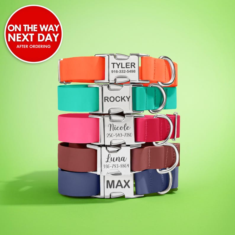 Puede incluir: Una pila de collares personalizados para perros en varios colores: naranja, turquesa, rosa, rojo, marr&oacute;n y azul marino. Cada collar tiene una hebilla plateada grabada con un nombre y n&uacute;mero de tel&eacute;fono. Sobre fondo verde.