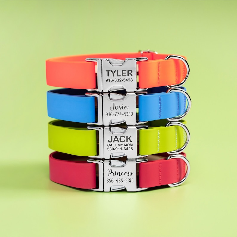 Puede incluir: Una pila de cuatro collares para perros de colores: naranja, azul, verde y rojo. Cada collar tiene una hebilla plateada con un nombre y un n&uacute;mero de tel&eacute;fono grabados. Los nombres son Tyler, Josie, Jack y Princess.
