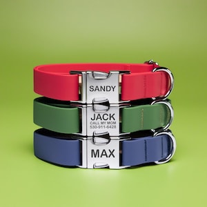 May include: Three personalized dog collars stacked on a green background. The top collar is red, the middle is green, and the bottom is blue. Each collar has a silver buckle with a name engraved on it: Sandy, Jack, and Max. The middle collar also has a phone number.