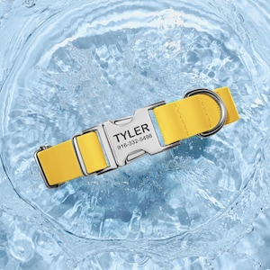 Puede incluir: Un collar amarillo para perros con una hebilla plateada. La hebilla est&aacute; grabada con el nombre "TYLER" y un n&uacute;mero de tel&eacute;fono. El collar est&aacute; en agua, creando un efecto de salpicadura.