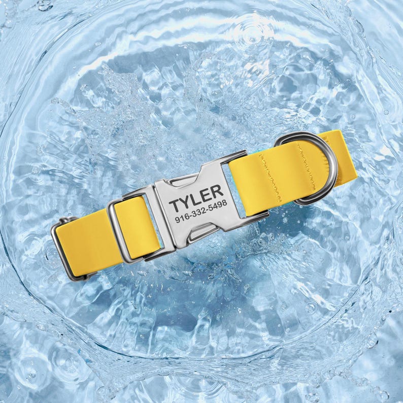 Puede incluir: Un collar amarillo para perros con una hebilla plateada. La hebilla est&aacute; grabada con el nombre "TYLER" y un n&uacute;mero de tel&eacute;fono. El collar est&aacute; en agua, creando un efecto de salpicadura.