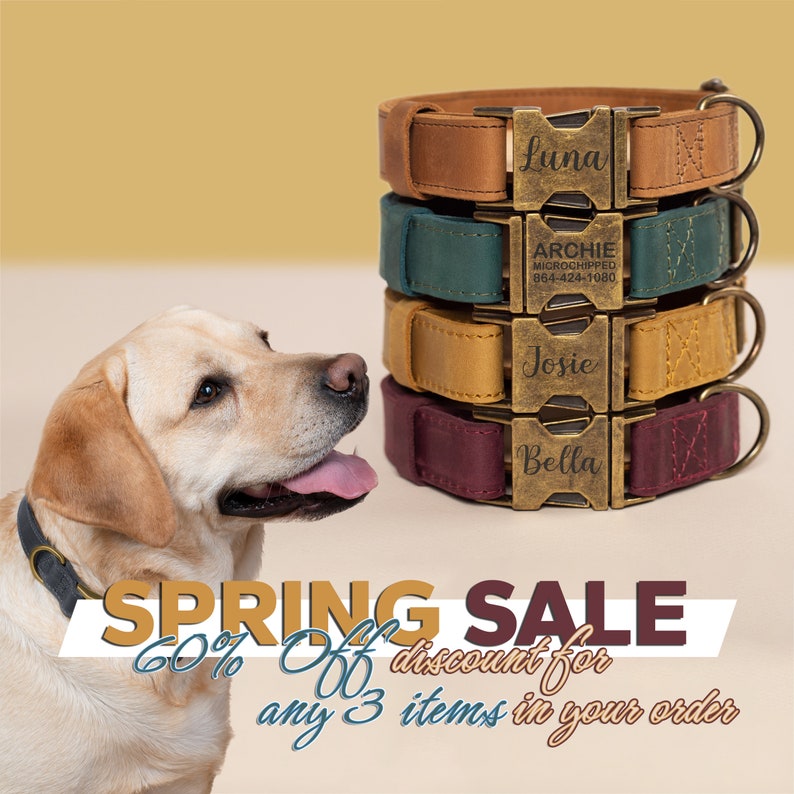 Rustic dog collar, Dog collar, Genuine Leather dog collar, Vintage, Pet collar, Personalised dog collar, Custom dog collar, Gifts for pets image 5