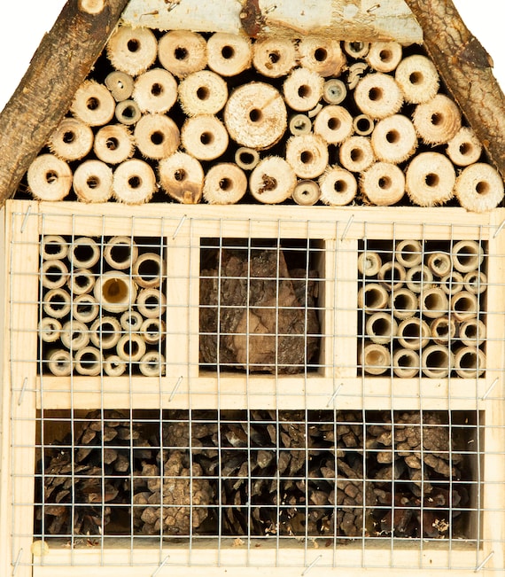 Insect Hotel Bug Hotel Insect House Handmade of Pine Birch Wood