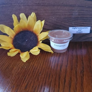 Wax Melt / Cinnamon / 1oz Wax Tart / Scented Wax / Candle Tart / Housewarming Gift / Wax Sample / Christmas Gift