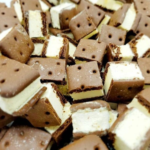 Freeze Dried Orange Dream Bar Ice Cream Most Popular Freeze Etsy