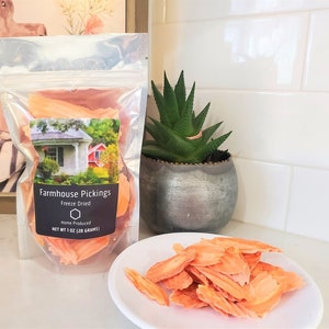 Freeze Dried Carrot Chips