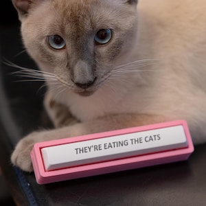 May include: A light gray cat with blue eyes is lying on a black surface. The cat is looking at the camera. A pink rectangular sign with white text reads "They're eating the cats".