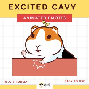 Emoticono animado de cobaya emocionada, emoticono de caricatura, pegatina animada de cobaya, GIF adorable de cobaya, pegatina animada fácil de usar