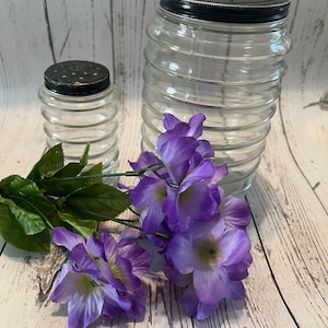 Hoosier Cabinet jars Sellers Vintage Jars 1920 Antique Jars Old Set of Vintage Jars with lids Vintage Jars Vintage Bottles Vintage Glass Set