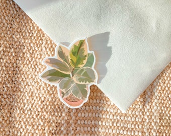 rubber plant sticker | high quality sticker | plant sticker | floral sticker | boho sticker | laptop sticker