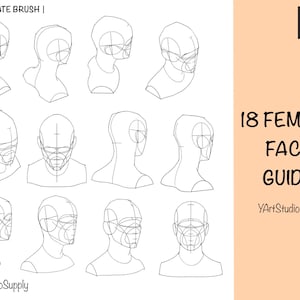May include: A guide for drawing female faces in 18 different angles. The guide includes basic shapes and lines to help with proportions. The text on the image reads "18 Female Face Guide" and "YArtStudioSupply".