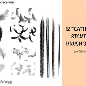 May include: A set of 12 black and white feather stamp brushes for Procreate. The brushes are designed to create realistic feather effects for digital art and illustration. The set includes a variety of feather shapes and sizes, including single feathers, clusters of feathers, and long, flowing feathers.