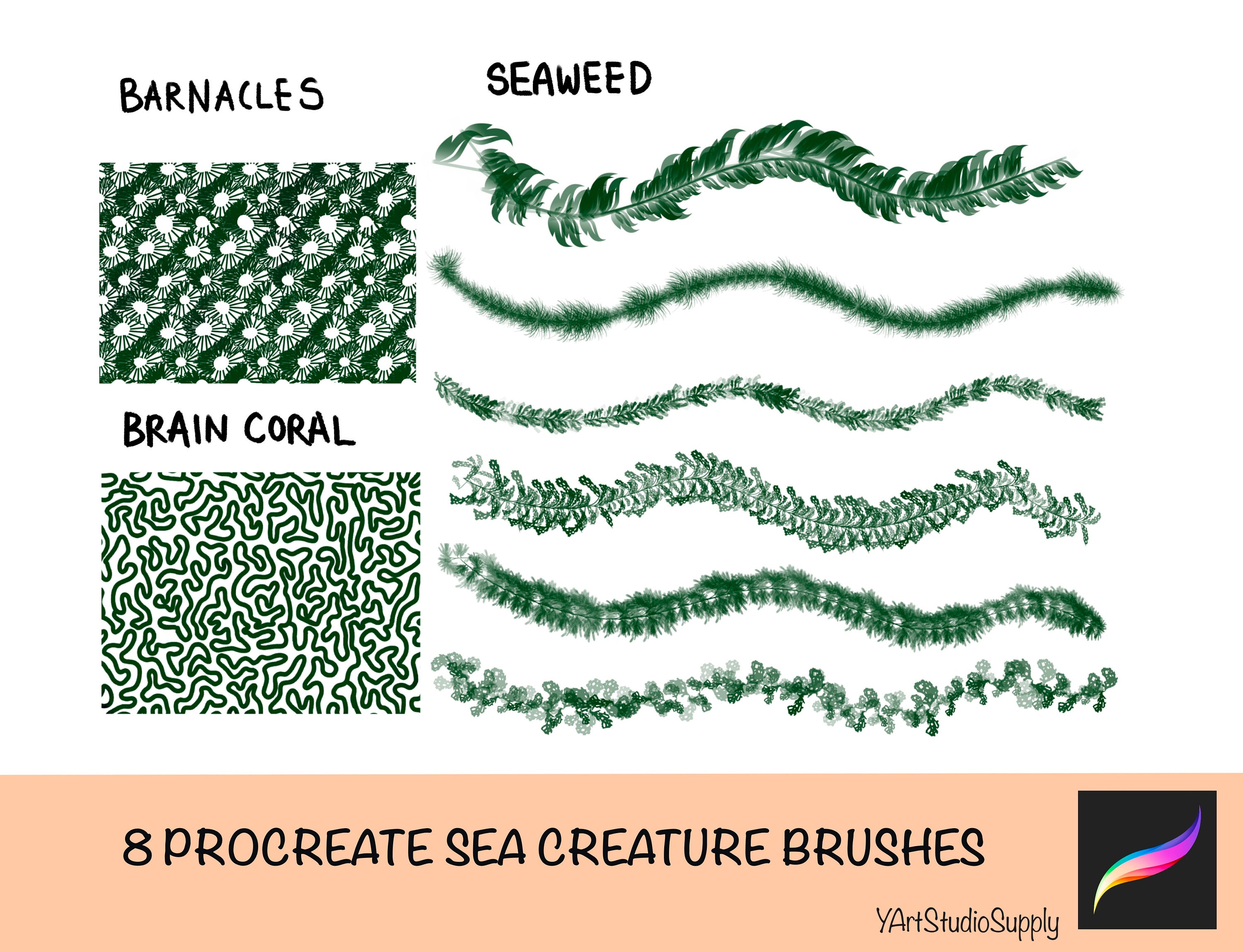 8 Sea Plants Brushes on Procreate | Water Plants Brushset - Etsy