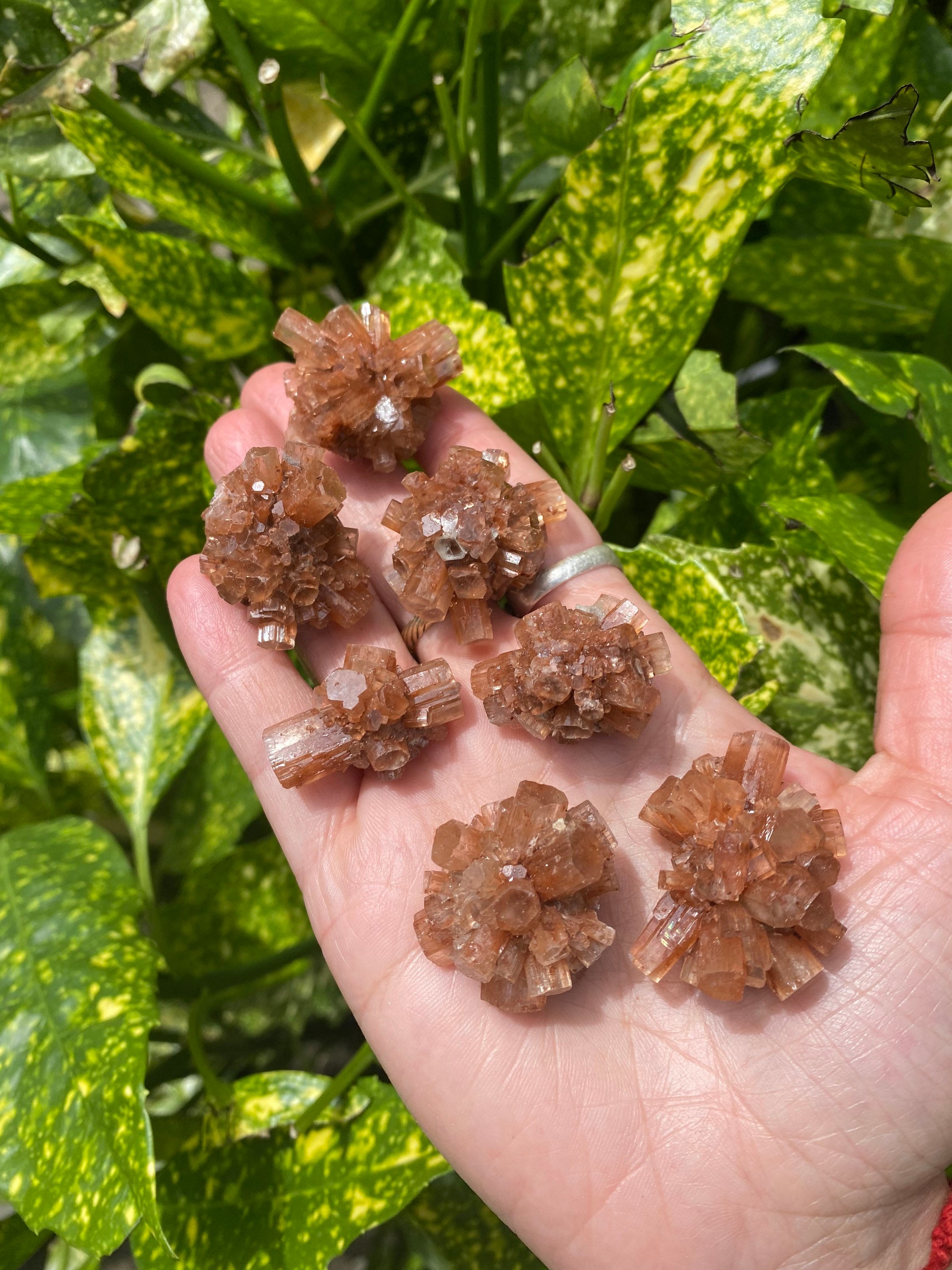 Natural Small Raw Aragonite Crystal Cluster / Root Chakra Stone /Grou…
