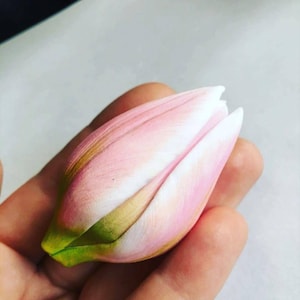realistic 3d tulip bud flower floral soap candle clay resin silicone mold mould christmas melt and pour soap making