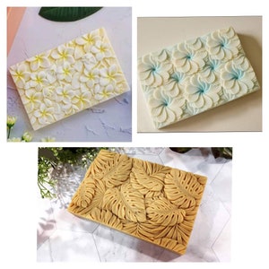 Peut inclure: Trois savons rectangulaires avec des motifs différents. Le premier savon a un fond blanc avec un motif en relief de fleurs de frangipanier blanches. Le deuxième savon a un fond bleu clair avec un motif en relief de fleurs de frangipanier bleues claires. Le troisième savon a un fond brun clair avec un motif en relief de feuilles de monstera brunes.