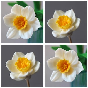 May include: Four white daffodils with yellow centers, each with six petals, are arranged in a square format. The flowers are in focus, while the background is blurred.