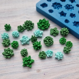 Small 24 cavity mini embed size 0.9-1.9 cm realistic 3d succulent soap candle clay resin silicone mold mould christmas melt and pour making