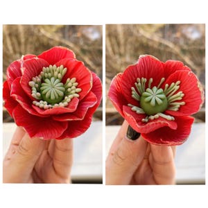 Op de afbeelding: Twee afbeeldingen van een felrode klaproos met een gedetailleerd groen en wit centrum. De bloemblaadjes hebben een delicate textuur en een gouden rand. De bloem wordt in de hand van een persoon gehouden, wat de grootte en het ingewikkelde ontwerp laat zien.