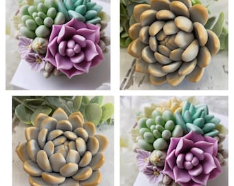May include: Four different arrangements of faux succulents, each featuring a variety of green and purple succulents. The succulents are arranged in a circular shape and are surrounded by small green leaves.