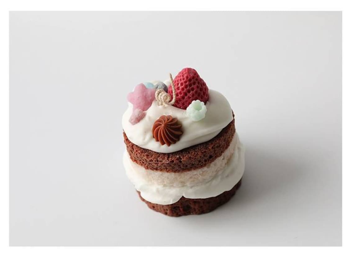 3d Round Cake Slice Sponge Cake Pie Bread Mold Mould Silicone Etsy